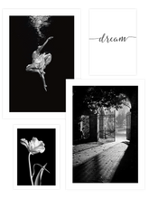 Dream Poster Seti